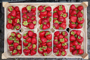 Containers of red ripe juicy strawberries in wooden crate at a farmers market lined up in the summer. Organic fruit with antioxidants.