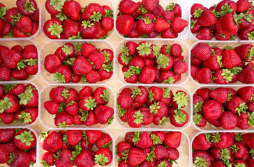 Containers of red ripe juicy strawberries in wooden crate at a farmers market lined up in the...