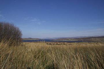 Fototapeta na wymiar Loch Greshornish sunny day
