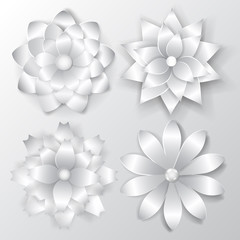 Set of beautiful volume paper flowers with soft shadows