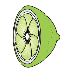 lemon slice icon over white background, colorful design. vector illustration