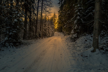 winter road in the forest that leads towards the sun