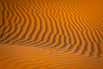 Desert dune at Erg Chebbi near Merzouga in Morocco.