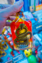 Close up of cobra inside of Whiskey prepared by locals on an island off the coast of Laos, at the Golden Triangle Special Economic atChinatown, these brews contain live cobra