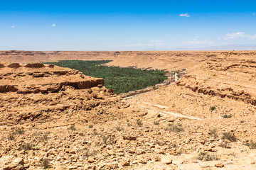 Cultivated fields and palms in Errachidia Morocco North Africa Africa