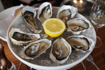 Oyster Close Up