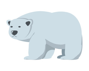 polar bear icon over white background, colorful design. vector illustration