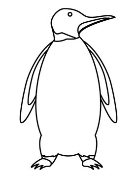 Cute penguin icon over white background, vector illustration