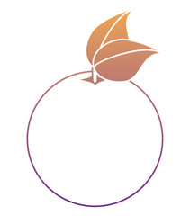orange fruit icon over white background, colorful design. vector illustration