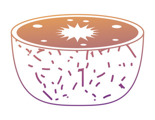 slice of kiwi fruit icon over white background, colorful design. vector illustration