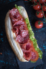 Italian submarine sandwich