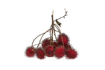 Rambutan