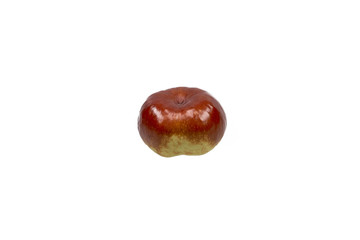 Jujube Fruit