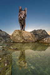 Fototapete bei efototapeten.de bestellen   