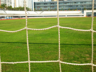 The lawn landscape of the football field