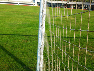 Fototapeta premium The lawn landscape of the football field
