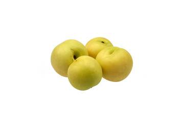 Yellow Plum