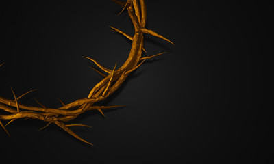 Close up Gold Crown of Thorns 3D Rendering Empty Space