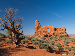 Turret  arch in Arches National Park, Utah © Ana