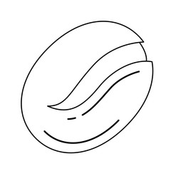 Coffee bean line icon isolated on white background. Vector line icon of roasted coffee bean for infographic, website or app.