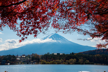 Autumn leaves and Mount Fuji