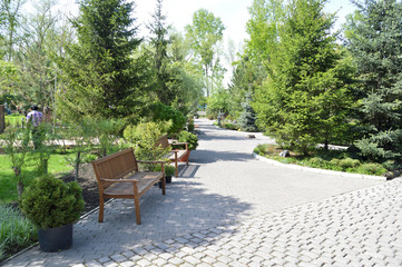 A walk on a hot summer day for a cool city Park. Alleys, benches and a pond. Russia, Siberia.