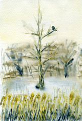 A bird sitting on a tree. Misty winter day with warm skylight. Reeds grow in the foreground. Watercolor painting