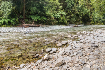 Wakamarina river flowing through rainforest near Canvastown, New Zealand
