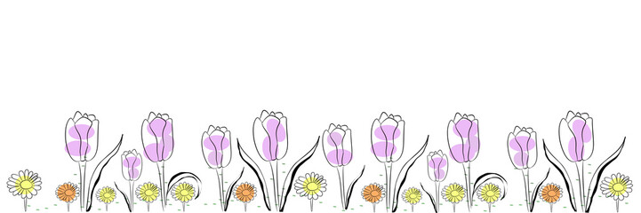 Vector floral background with tulips and daisies