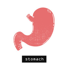 Vector hand drawn illustration. Stomach body. Idea for poster, postcard, design.