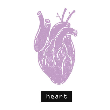 Vector hand drawn illustration. Heart body. Idea for poster, postcard, design.