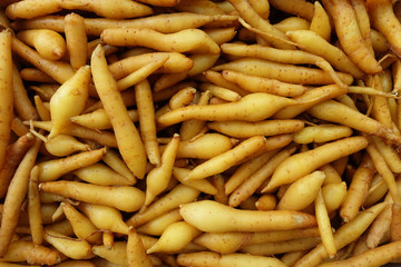 pile of fresh finger root, food and herbs, top view