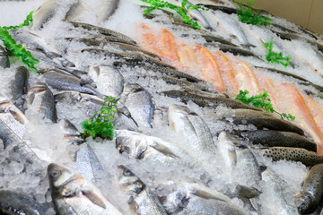Свежая рыба на льду с ценой