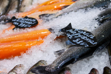 Форель Дорода Свежая рыба на льду с ценой