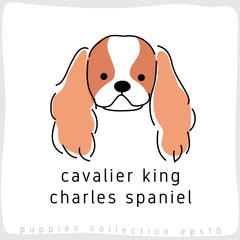 Dog Breed Collection : Vector Illustration