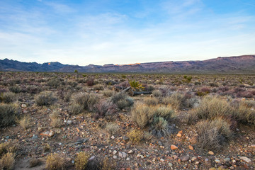 Arizona desert, US southwest