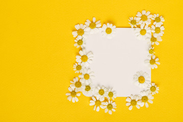 daisy flowers on the paper card