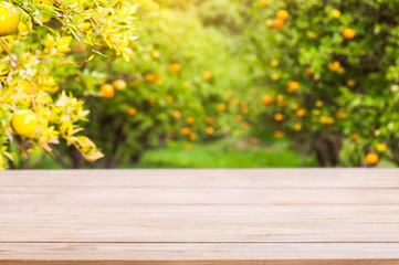 Naklejka na ściany i meble Wood table top on shiny sunlight with blur of orange garden in the morning.