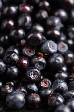 bluberries on black background