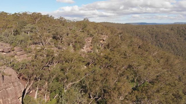Australia aerial footage of outback river in forest canyon