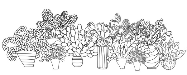 Horizontal composition with contour cartoon plants and flowers in pots and vases.