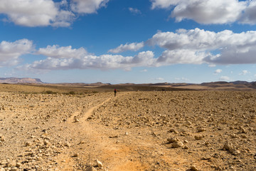 Trekking in Negev dramatic stone desert, Israel