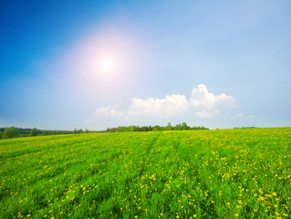 Green field under blue cloudy sky