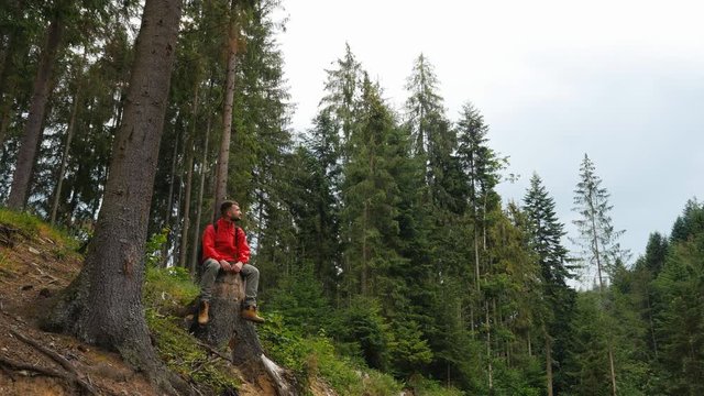 Bearded hiker sitting on a tree stump