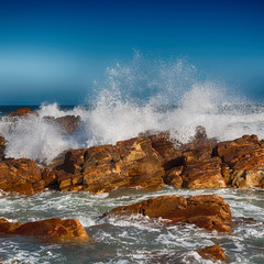   in south africa   sky  ocean    reserve