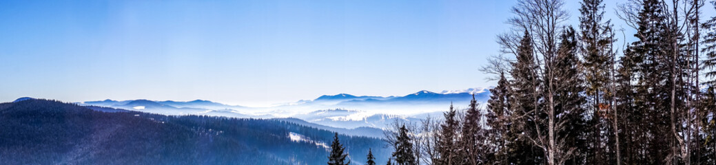 Fototapeta na wymiar Morning fog. Winter snowy landscape in the Carpathian Mountains