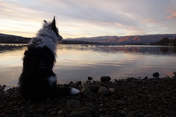 Landscapes of the Pacific Northwest 