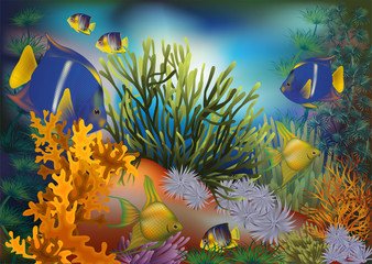 Fototapeta na wymiar Underwater tropical card, vector illustration