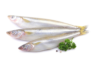 Smelt fish on white background