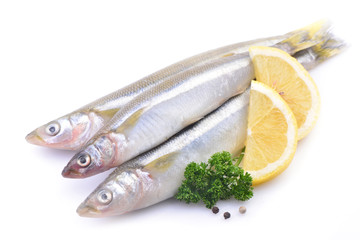 Smelt fish on white background
